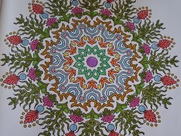 whatsapp bild 2025-04-12 um 10.12.36_6e5e576e